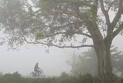 Gujarat Cold: રાજ્યમાં કાતિલ ઠંડીનો ચમકારો, આ શહેરોમાં તાપમાનનો પારો 14 ડીગ્રીથી નીચે