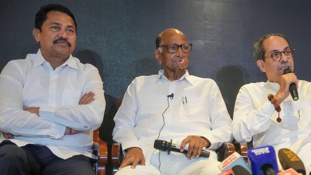 महाराष्ट्र चुनाव नतीजों से नाराज MVA के हारे हुए नेता, कोर्ट का खटखटाएंगे दरवाजा, जानें क्या करेंगे मांग Maha Vikas Aghadi mva Leaders move To Court Against EVM VVPAT Assembly Elections Results 2024 in Maharashtra महाराष्ट्र चुनाव नतीजों से नाराज MVA के हारे हुए नेता, कोर्ट का खटखटाएंगे दरवाजा, जानें क्या करेंगे मांग