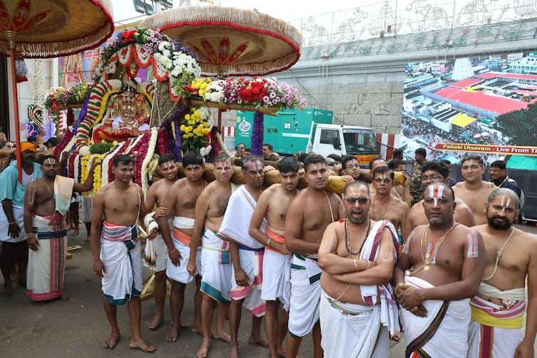 Sri Padmavathi Ammavari Brahmotsavam 2024: మోహినీ అలంకారంలో అల‌మేలుమంగ‌- అమ్మవారిని చూసి పరవశించిపోయిన భక్తులు