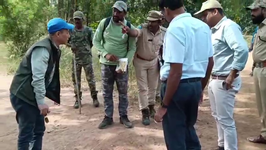 Tiger Attacks in Asifabad: ఆసిఫాబాద్ జిల్లాలో పెద్దపులి టెన్షన్, దాడి నుంచి రక్షించుకునేందుకు ఈ కొత్త టెక్నిక్ తెలుసా?