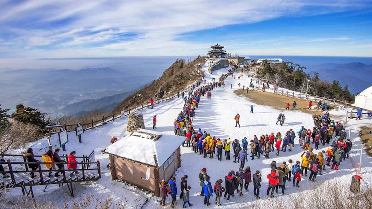 मुंबईहून थेट 'मनाली'..अगदी कमी खर्चात ट्रीप एन्जॉय करायचीय? फक्त 'या' 5 गोष्टी लक्षात ठेवा, महाग पडणार नाही..