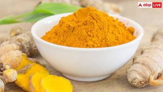 Myths Vs Facts: पीरियड के दौरान दही खाने से मेंसुरेशन फ्लो पर पड़ता है असर? जानें क्या है पूरा सच