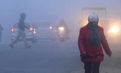 Weather Forecast: આ વખતે ઠંડી ઓછી પડશે, કોલ્ડવેવના દિવસો ઓછા રહેશે, જાણો હવામાન વિભાગે શું કહ્યું ?