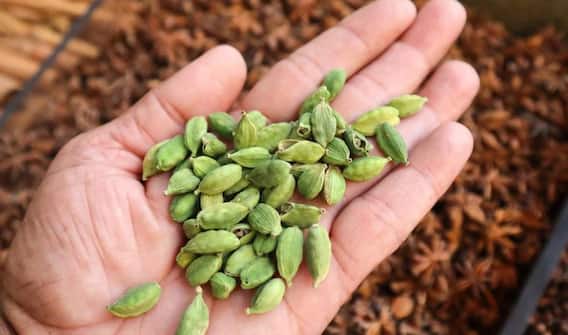 ਬਲੱਡ ਪ੍ਰੈਸ਼ਰ ਤੋਂ ਲੈ ਕੇ ਤਣਾਅ ਤੋਂ ਰਾਹਤ ਦਵਾਉਂਦੀ ਰਸੋਈ 'ਚ ਰੱਖੀ ਇਹ ਛੋਟੀ ਜਿਹੀ ਚੀਜ਼