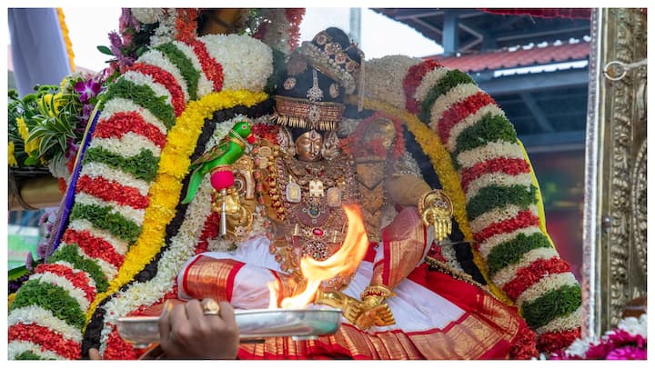 Tirumala News : తిరుచానూరు శ్రీ పద్మావతి అమ్మవారి కార్తీక బ్రహ్మోత్సవాలలో భాగంగా సోమవారం ఉదయం అమ్మవారు మోహినీ అలంకారంలో భక్తులను అనుగ్ర‌హించారు.