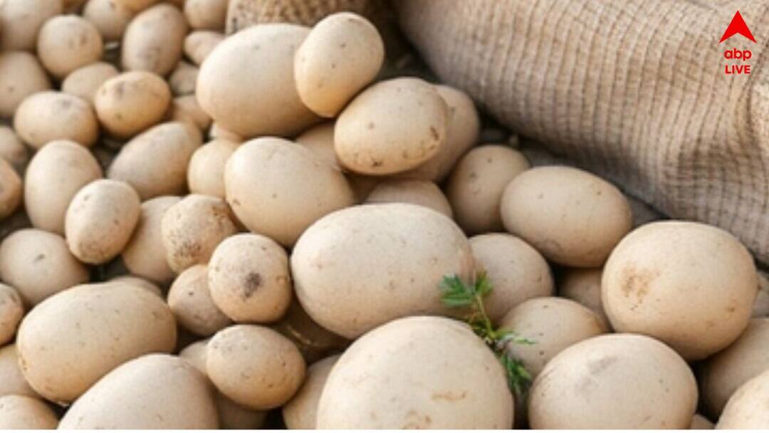 Potato Price Update : অনির্দিষ্টকালের ধর্মঘট হচ্ছেই, আকাশ ছুঁতে পারে আলুর দাম West Bengal potato traders stick to indefinite strike decision as no decision taken after meeting with Minister Becharam Manna Potato Price Update : অনির্দিষ্টকালের ধর্মঘট হচ্ছেই, আকাশ ছুঁতে পারে আলুর দাম