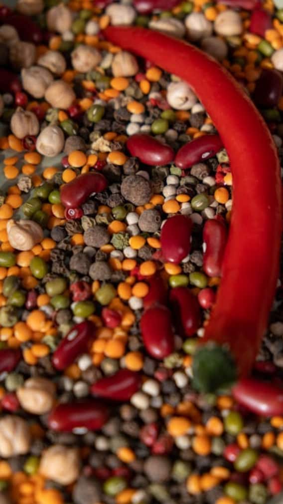 किस दाल में होता है सबसे ज्यादा प्रोटीन