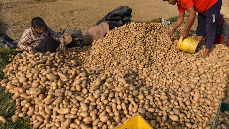 Bengal Potato Traders Announce Statewide Strike From Tuesday As Talks With Govt Collapse