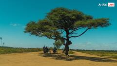 इस वनस्पति को माना जाता है किसानों का दुश्मन, जान लीजिए वजह