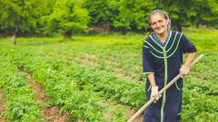 इस खास सब्जी की खेती पर सरकार दे रही सब्सिडी, जानें कैसे कर सकते हैं अप्लाई