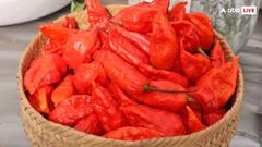 भारत की इस मिर्च को कम ही खा पाते हैं लोग, जान लीजिए नाम