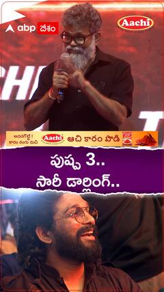 పుష్ప 3.. సారీ డార్లింగ్..