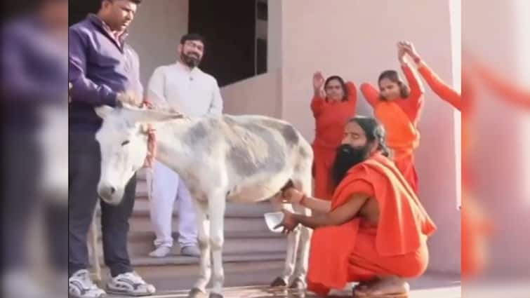 Baba Ramdev Consumes Donkey Milk In Viral Video, Says 'Cleopatra Took Bath With It' — WATCH