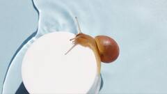 6 Game-Changing Korean Skincare Ingredients For A Glowing Skin