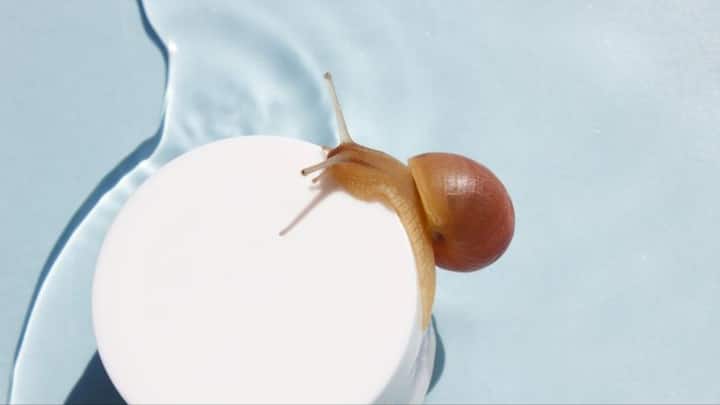 2. Snail Mucin: Snail Mucin is made of snail's secretion and is known to have anti ageing properties. It helps in repairing damaged skin, improving skin's elasticity, and reducing wrinkles. It boosts collagen production which promotes a smooth and glowing complexion. (Image Source: Pinterest/health)