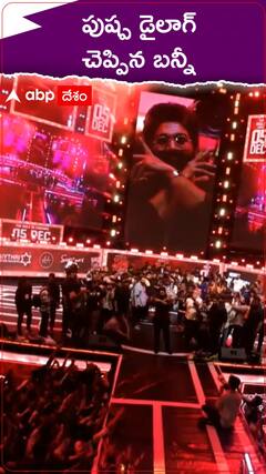 పుష్ప డైలాగ్ చెప్పిన బన్నీ