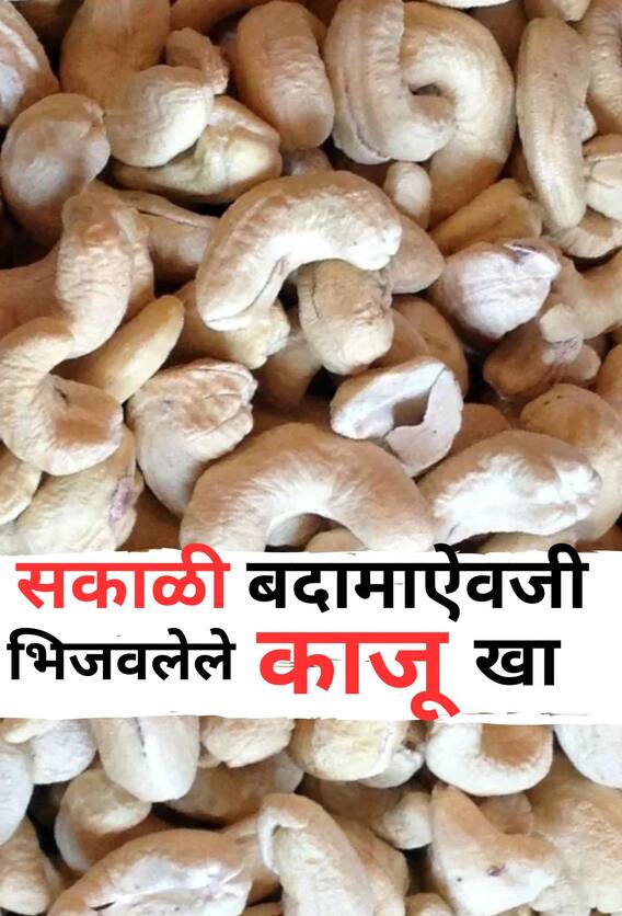 सकाळी बदामाऐवजी खा भिजवलेले काजू; झटपट स्लिम ट्रिम व्हाल