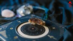 Astrology: বছরের শেষলগ্নে টালমাটাল সময়, পদে পদে ভোগান্তি ৪ রাশির !