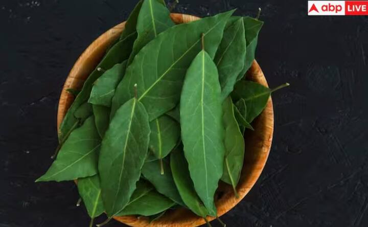 ਕੜੀ ਪੌਦੇ ਦੇ ਬੀਜਾਂ ਵਿੱਚ ਐਂਟੀਆਕਸੀਡੈਂਟ ਜਿਵੇਂ ਕਿ ਫਲੇਵੋਨੋਇਡਸ ਅਤੇ ਫੀਨੋਲਿਕ ਮਿਸ਼ਰਣ ਹੁੰਦੇ ਹਨ। ਇਹ ਐਂਟੀਆਕਸੀਡੈਂਟ ਆਕਸੀਡੇਟਿਵ ਤਣਾਅ ਨਾਲ ਨਜਿੱਠਣ ਵਿੱਚ ਮਦਦ ਕਰ ਸਕਦੇ ਹਨ। ਜੋ ਕਿ ਅਕਸਰ ਡਾਇਬੀਟੀਜ਼ ਅਤੇ ਹੋਰ ਗੰਭੀਰ ਸਿਹਤ ਸਥਿਤੀਆਂ ਦੇ ਵਿਕਾਸ ਨਾਲ ਜੁੜਿਆ ਹੁੰਦਾ ਹੈ। ਆਕਸੀਡੇਟਿਵ ਨੁਕਸਾਨ ਨੂੰ ਘਟਾ ਕੇ, ਕੜੀ ਦੇ ਪੌਦੇ ਦੇ ਬੀਜ ਬਿਹਤਰ ਸਮੁੱਚੀ ਪਾਚਕ ਸਿਹਤ ਵਿੱਚ ਯੋਗਦਾਨ ਪਾ ਸਕਦੇ ਹਨ।