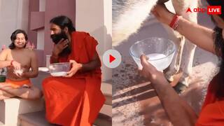 बाबा रामदेव ने खुद निकालकर पिया गधी का दूध, बोले क्लियोपेट्रा इससे नहाया करती थी- वीडियो वायरल