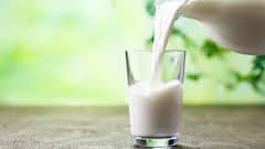 बाबा रामदेव ने पिया गधी का दूध, जानें इसकी कीमत और क्या हैं फायदे