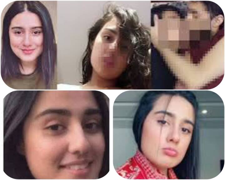 ਪਿਛਲੇ ਕਾਫੀ ਸਮੇਂ ਤੋਂ ਪਾਕਿਸਤਾਨ ਤੋਂ ਇਕ ਤੋਂ ਬਾਅਦ ਇਕ MMS ਅਤੇ ਇੰਟੀਮੇਟ ਵੀਡੀਓ ਲੀਕ ਹੋਣ ਦੇ ਮਾਮਲੇ ਸਾਹਮਣੇ ਆ ਰਹੇ ਹਨ। ਮਿਨਾਹਿਲ ਮਲਿਕ, ਮਥਿਰਾ ਮੁਹੰਮਦ, ਕੰਵਲ ਆਫਤਾਬ ਅਤੇ ਇਮਸ਼ਾ ਰਹਿਮਾਨ ਤੋਂ ਬਾਅਦ ਸੋਸ਼ਲ ਮੀਡੀਆ 'ਤੇ ਇਕ ਹੋਰ ਕਥਿਤ ਇੰਟੀਮੇਟ ਵੀਡੀਓ ਲੀਕ ਹੋਇਆ ਹੈ।