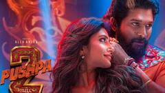 Complain against Allu Arjun: ছবি মুক্তির আগেই পুলিশের কাছে অভিযোগ অল্লু অর্জুনের নামে! কী করেছেন 'পুষ্পা'?