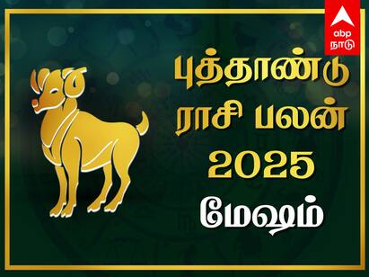 2025 New Year Rasi Palan Mesham Puthandu Palangal New Year Horoscope Tamil Mesham New Year Rasi Palan: காதல் வெற்றி, பண யோகம்! 2025ல் கலக்கப்போகும் மேஷ ராசி - முழு பலனை பாருங்க