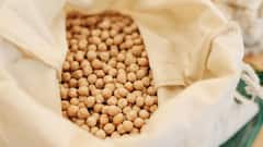 Superfoods For Healthy Heart: 'ব্যাড কোলেস্টেরল' কমলেই ভাল থাকবে হৃদযন্ত্র, কোলেস্টেরল নিয়ন্ত্রণে রেখে হার্ট ভাল রাখতে কী কী খাবেন?