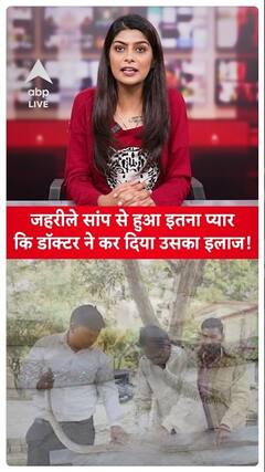 Viral Video: So Much Love for a Venomous Snake that Doctor Treated It! | ABPLIVE