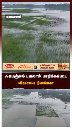 ஃபெஞ்சல் புயலால் பாதிக்கப்பட்ட விவசாய நிலங்கள்