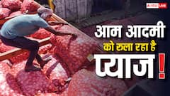भारत के किसान उगा रहे ताबड़तोड़ प्याज, फिर भी 70-80 रुपये किलो क्यों है कीमत?