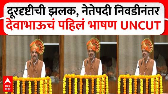 Devendra Fadnavis Speech : दूरदृष्टीची झलक, नेतेपदी निवडीनंतर देवाभाऊचं पहिलं भाषण UNCUT