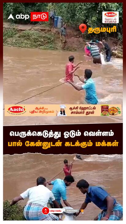Dharmapuri flood fengal cyclone - watch video Dharmapuri Flood : பெருக்கெடுத்து ஓடும் வெள்ளம் பால் கேன்னுடன் கடக்கும் மக்கள்