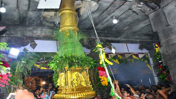 டிசம்பர் 11 ஆம் தேதி - காலை உற்சவம் - விநாயகர் ,சந்திரசேகர் - குதிரை வாகனம். மாலை உற்சவம் - 4:30 மணிக்கு பிச்சாண்டவர் உற்சவம் : இரவு உற்சவம் - பஞ்ச மூர்த்திகள் - குதிரை வாகனம்