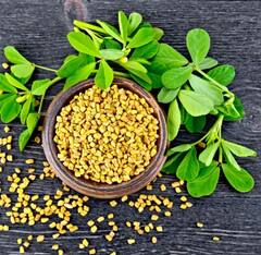 ਸਿਆਲ 'ਚ ਮੇਥੀ ਖਾਣ ਦੇ ਇਹ ਵੱਡੇ ਫਾਇਦੇ, ਕੋਲੈਸਟ੍ਰੋਲ ਨੂੰ ਕੰਟਰੋਲ ਕਰਨ ਤੋਂ ਲੈ ਕੇ ਗਠੀਏ ਦੇ ਦਰਦ ਤੋਂ ਰਾਹਤ