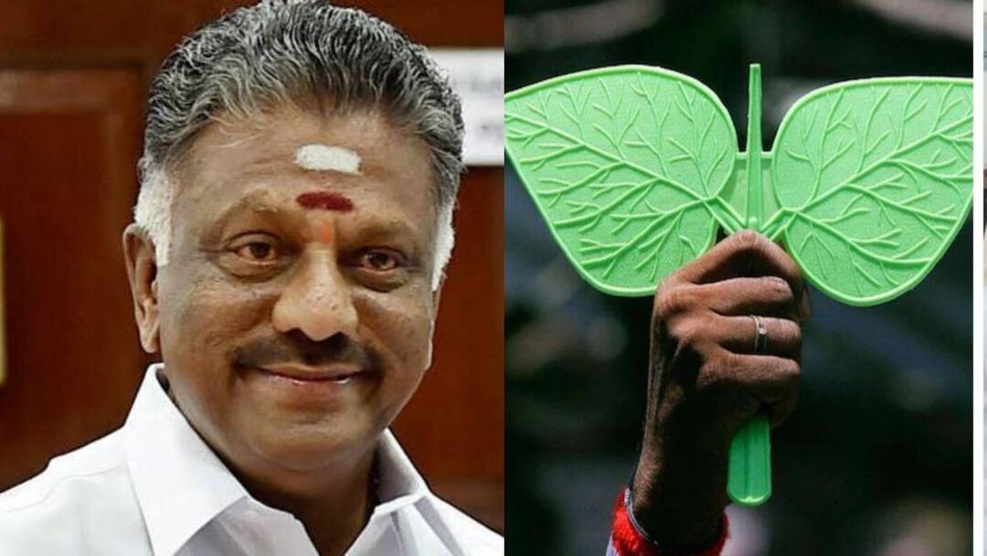 OPS ADMK: ஓபிஎஸ் பக்கம் காத்து - அடித்தது ஜாக்பாட், இரட்டை இலை விவகாரம் - உயர்நீதிமன்றம் தீர்ப்பு