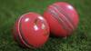 Pink Ball Test: रेड और पिंक बॉल में क्या होता है अंतर? एडिलेड टेस्ट से पहले डिटेल में समझें हर बारीकी