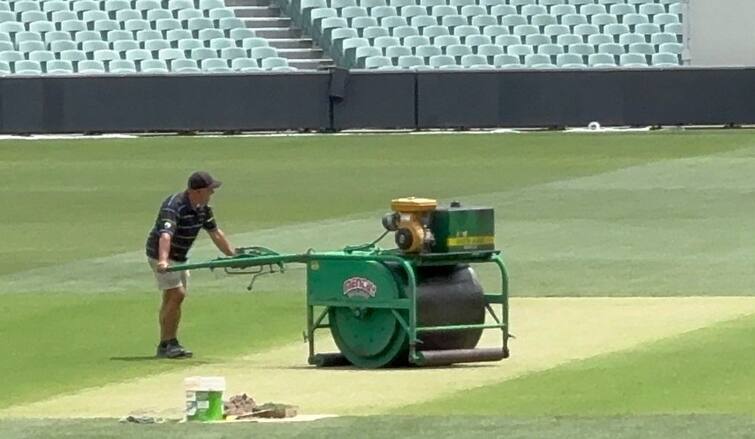 know about pitch in the aus vs ind 2nd pink ball day night test adelaide grass pitch curator IND vs AUS: એડિલેડમાં કોણ જીતશે ? 'ઘાસ વાળી' પીચ અંગે ક્યૂરેટરે પહેલાથી બતાવી દીધું