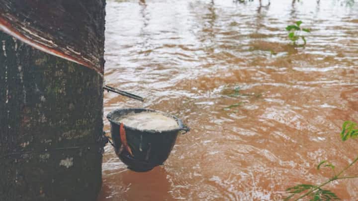 বৃষ্টির জল ধরার পর যদি তা ফিল্টার করেন এবং ফুটিয়ে নেন, তা পান করার যোগ্য। বিশুদ্ধ বৃষ্টির জল ত্বক ও চুলের জন্য ভাল।