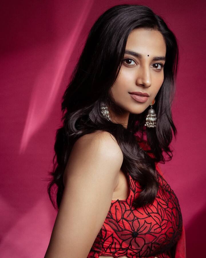 మీనాక్షి చౌదరి తన లేటెస్ట్ ఫోటోలు ఇన్​స్టాలో షేర్ చేసింది. రెడ్ శారీలో అందంగా ముస్తాబై చాలా క్యూట్​గా కనిపించింది. (Images Source : Instagram/Meenaakshi Chaudhary)