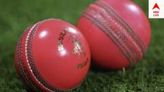 IND vs AUS: চিরাচরিত লাল বলের থেকে কােথায় আলাদা গোলাপি বল? জানেন কি?