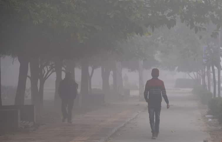 Delhi Experiences Coldest Night So Far As Mercury Dips To 8.5°C, IMD Predicts Further Drop