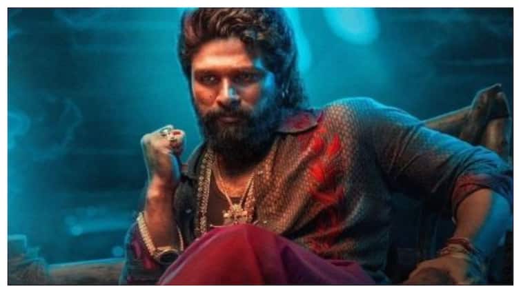 Pushpa 2 The Rule Makers Issue Statement After Woman Dies At Premiere Of Allu Arjun's Film In Hyderabad