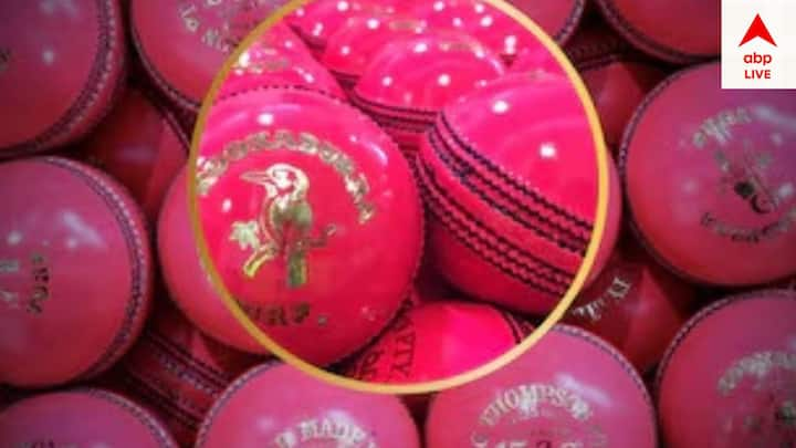 Pink Ball Test: সাধারণত টেস্ট ম্য়াচ লাল বলের টেস্টের হয়ে থাকে। কিন্তু ক্রিকেটের দীর্ঘতম ফর্ম্য়াটে নবতম সংযোজন দিন রাতের টেস্ট। যা গোলাপি বলে খেলা হয়ে থাকে।