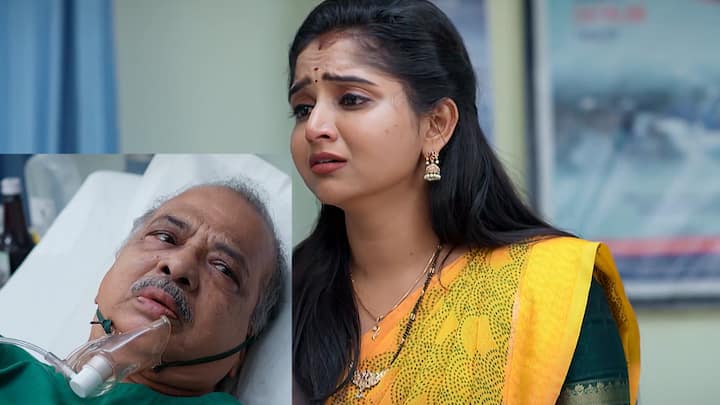 Brahmamudi Today Episode:  కావ్య విషయంలో తగ్గేదేలే అన్న రాజ్ కి ఇచ్చిపడేస్తారు సీతారామయ్య, ఇందిరాదేవి. ఎట్టకేలకు అత్తారింట్లో అడుగుపెట్టింది కావ్య. ఇప్పటి నుంచి కొత్త కష్టాలు మొదలు...