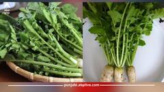 Radish Leaves: ਮੂਲੀ ਦੇ ਪੱਤਿਆਂ ਦੇ ਅਨੇਕਾਂ ਹੀ ਫਾਇਦੇ, ਹਾਜ਼ਮਾ ਰਹੇਗਾ ਦਰੁਸਤ ਤੇ BP ਵੀ ਰਹੇਗਾ ਕੰਟਰੋਲ