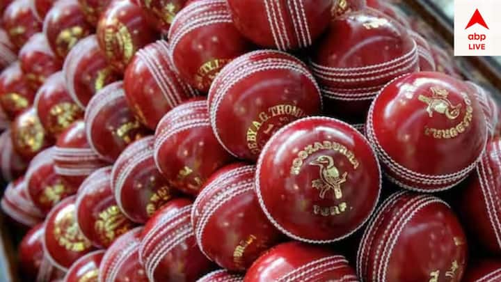 সাধারণত টেস্ট ম্য়াচ লাল বলের টেস্টের হয়ে থাকে। কিন্তু ক্রিকেটের দীর্ঘতম ফর্ম্য়াটে নবতম সংযোজন দিন রাতের টেস্ট। যা গোলাপি বলে খেলা হয়ে থাকে।