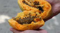 Side Effects Of Papayas : या लोकांनी कधीही पपई खाऊ नये, नाहीतर त्यांना पश्चाताप होईल!