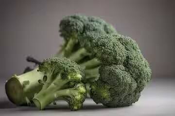 USDA અનુસાર, એક ઈંડું ખાવાથી શરીરને લગભગ 6 ગ્રામ પ્રોટીન મળે છે, જ્યારે 100 ગ્રામ બ્રોકોલી લગભગ 3 ગ્રામ પ્રોટીન પ્રદાન કરે છે. આનો અર્થ એ છે કે બ્રોકોલી પ્રોટીનનો સારો સ્ત્રોત છે. જે લોકો ઈંડા નથી ખાતા તેમના માટે આ એક સારો વિકલ્પ છે.